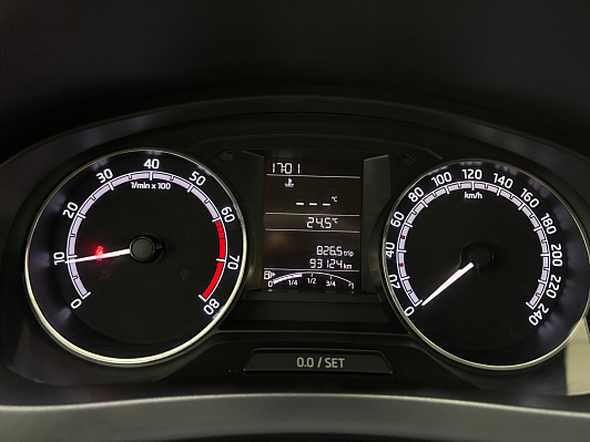 Skoda Rapid Hockey Edition Active, 2019 года, пробег 93123 км
