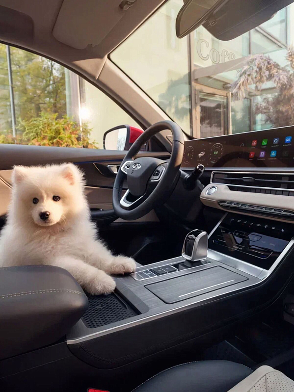 Chery Tiggo 4 Ultra, серый