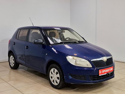 Skoda Fabia Classic, 2010 года, пробег 272260 км