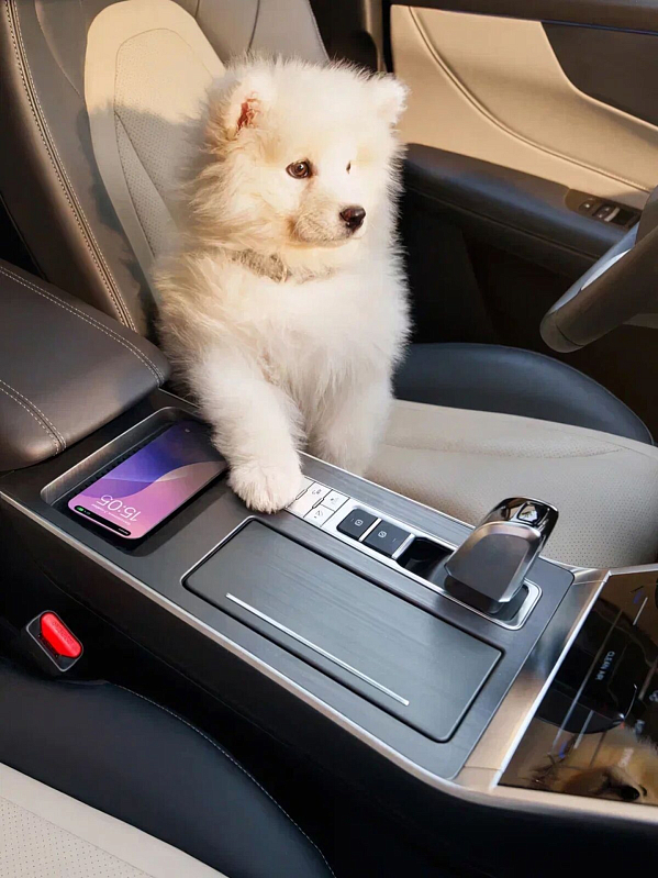 Chery Tiggo 4 Ultra, серый