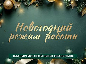 Новогодний режим работы автосалонов Диалог Авто 2026