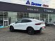 Renault Arkana Pulse, 2021 года, пробег 105815 км
