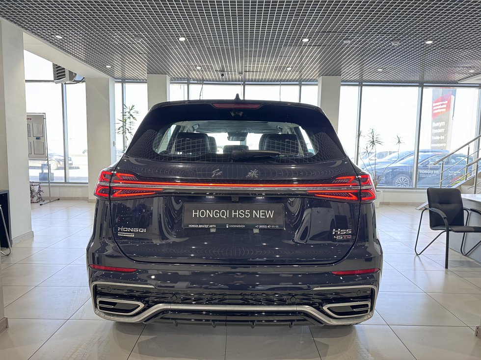 Hongqi HS5 Делюкс (Deluxe), коричневый