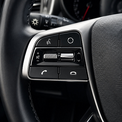 Kia Sorento Prestige, 2019 года, пробег 175443 км
