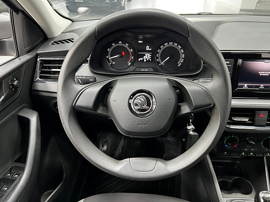 Skoda Rapid Active, 2020 года, пробег 123990 км