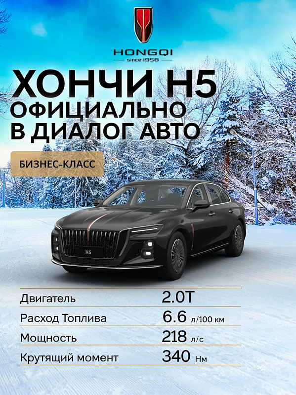 Hongqi H5 Deluxe +, черный