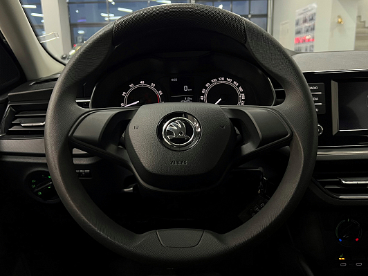 Skoda Rapid Active, 2021 года, пробег 103500 км