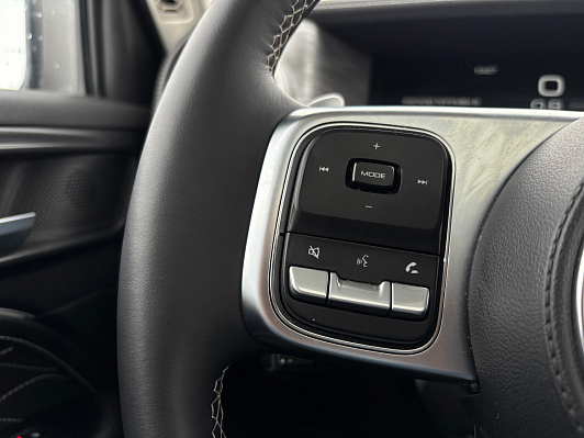 Tank 300 Adventure, 2024 года, пробег 28476 км