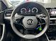 Skoda Rapid Active, 2021 года, пробег 48297 км