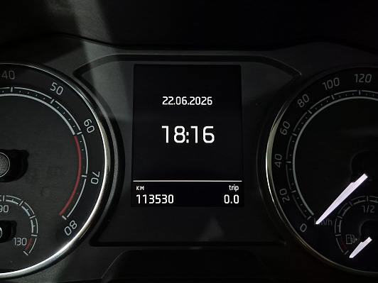 Skoda Rapid Hockey Edition, 2020 года, пробег 113529 км