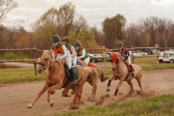 Диалог Авто Азнакаево - генеральный спонсор конных скачек
